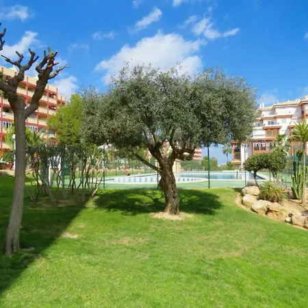 Olé Torremar Iv 1 Appartement
